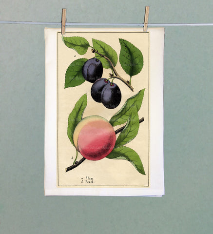 Botanical Peaches & Plums Organic Tea Towel