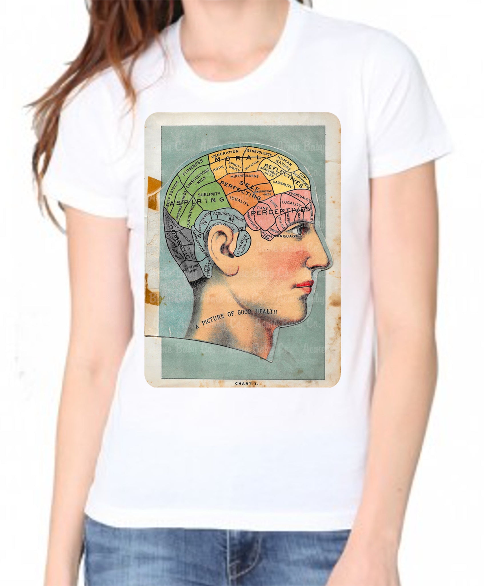 Anatomy Head Adult Organic Shirt