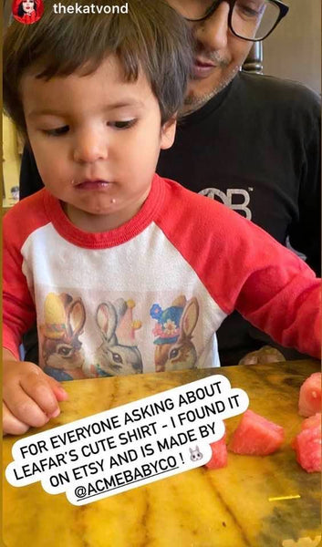 Party Bunnies Raglan Baseball Shirt