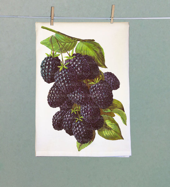 Blackberry Retro Organic Kitchen Towel