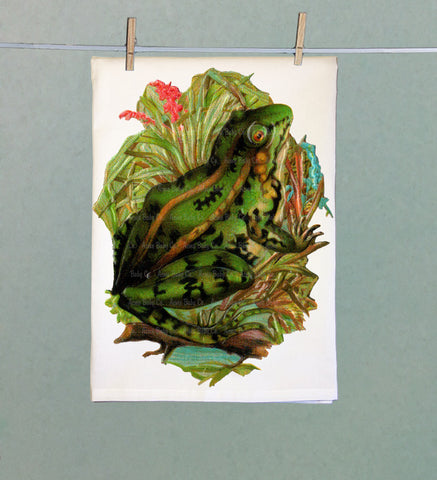 Pond Frog Organic Tea Towel