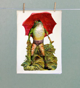 Rain Frog Organic Tea Towel