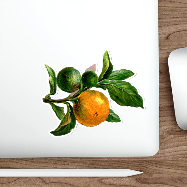 Beautiful Oranges Die-Cut Sticker