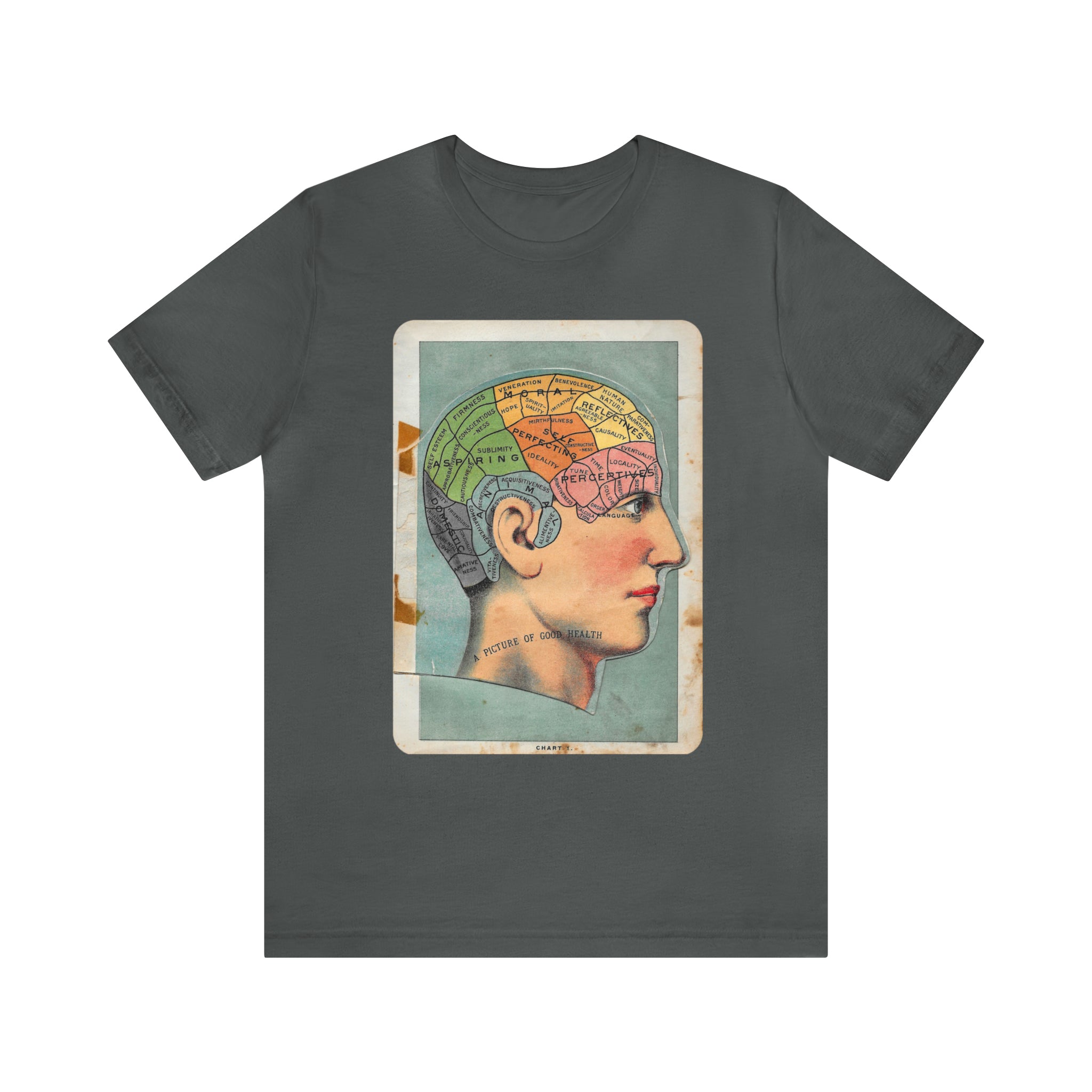 Medical Head Chart Unisex Tee