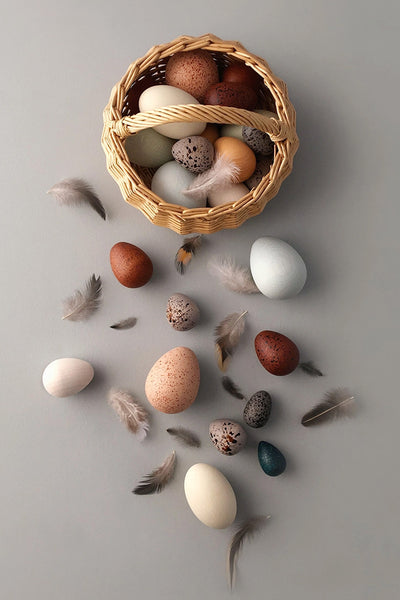 A Dozen Bird Eggs in A Basket
