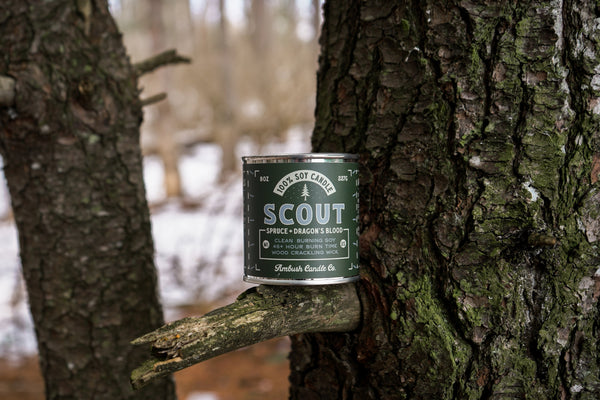 Scout | Spruce + Dragon's Blood 8oz Soy Candle