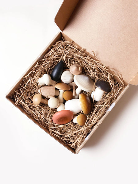 Forest Mushrooms in A Box