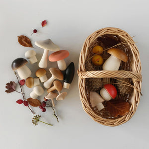 Forest Mushrooms Basket