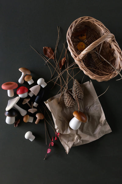 Forest Mushrooms Basket