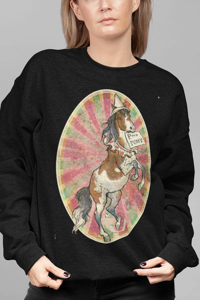 P is for Pony Circus Unisex Sweatshirt