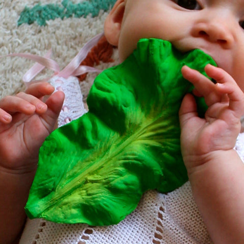 Kendall the Kale Teether