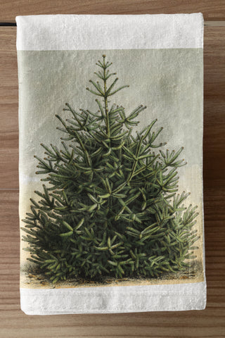 Natural Fir Tree Organic Tea Towel