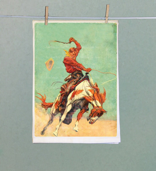 Bronco Buster Organic Kitchen Towel