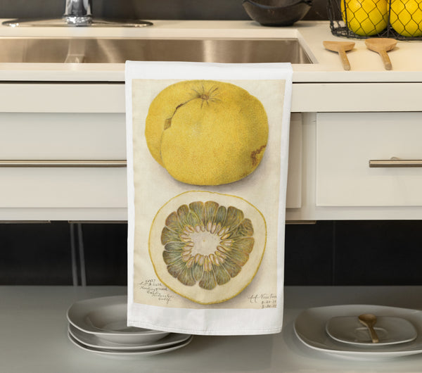 Botanical Grapefuit Organic Tea Towel