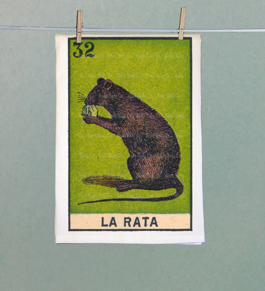 La Rata Retro Organic Kitchen Towel