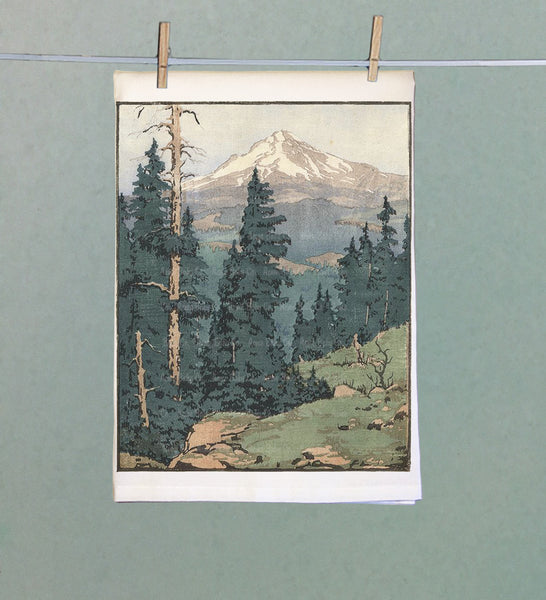 Mt. Hood National Park Organic Kitchen Towel