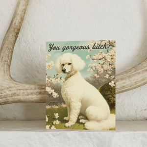 You Gorgeous Bitch Funny Dog Card - Encouragement Love