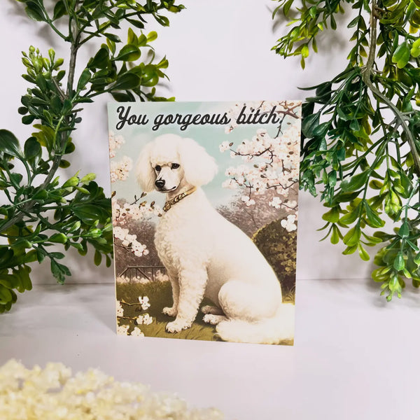 You Gorgeous Bitch Funny Dog Card - Encouragement Love