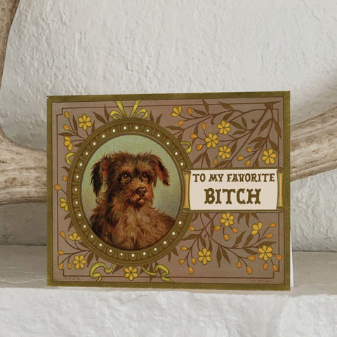 To My Favorite Bitch Card - Funny Love Friendship Cards