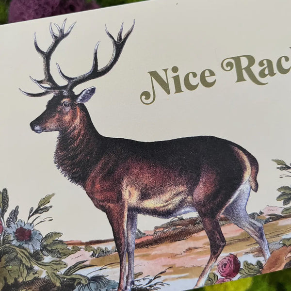 Nice Rack Funny Deer Card - Love Friendship Birthday