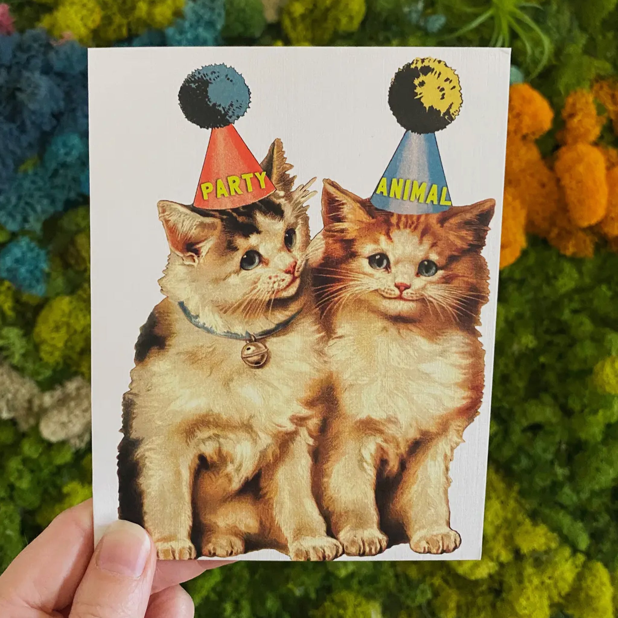 Party Cats Funny Birthday or Celebration Card