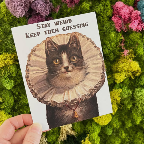 Stay Weird Funny Kitty Card - Birthday Friendship Everyday