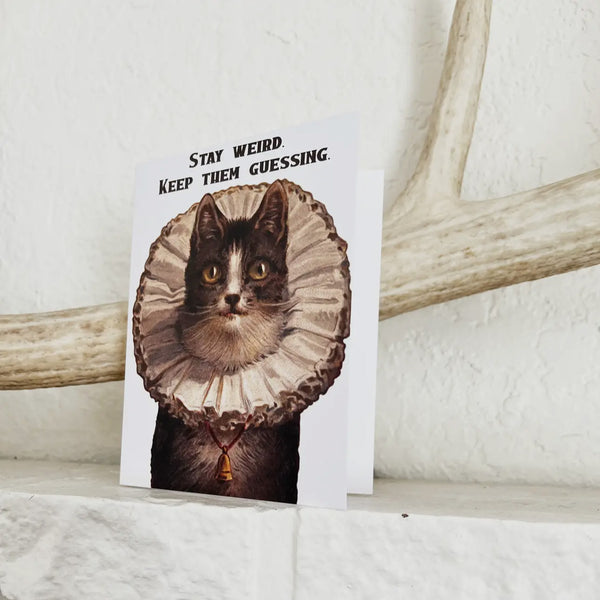 Stay Weird Funny Kitty Card - Birthday Friendship Everyday