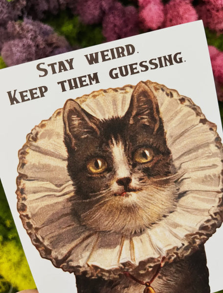 Stay Weird Funny Kitty Card - Birthday Friendship Everyday