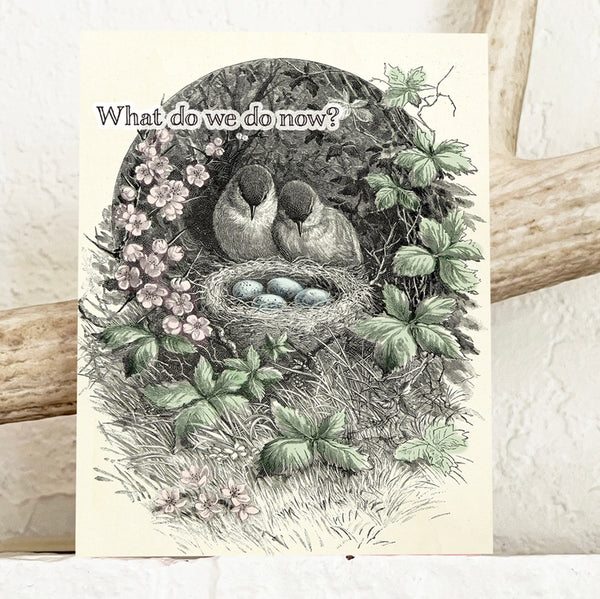 What Do We Do Now - Funny Birds with Nest New Parent Card