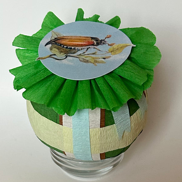 Brown Beetle Deluxe Surprise Ball for a boy - Special Edition