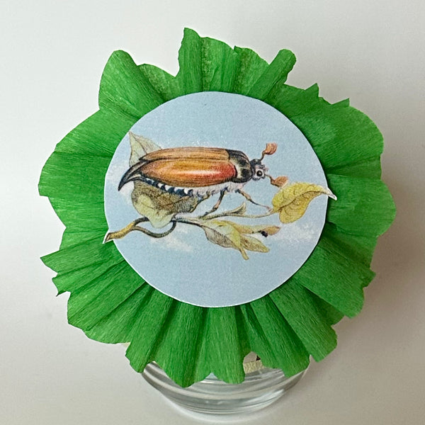 Brown Beetle Deluxe Surprise Ball for a boy - Special Edition