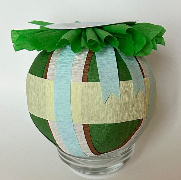 Brown Beetle Deluxe Surprise Ball for a boy - Special Edition