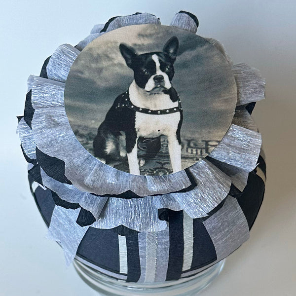 Boston Terrier Deluxe Surprise Ball - Special Edition