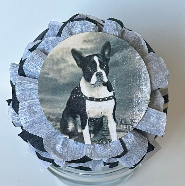 Boston Terrier Deluxe Surprise Ball - Special Edition