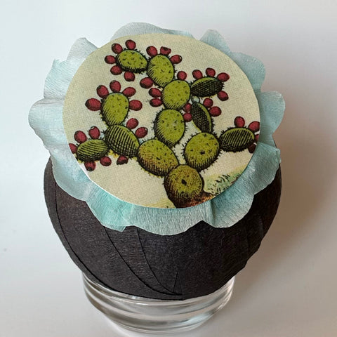 Cactus Plant Deluxe Surprise Ball - Special Edition