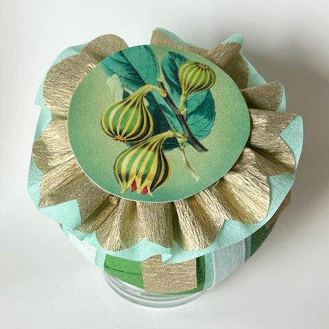 Balloon Flower Plant Deluxe Surprise Ball - Special Edition