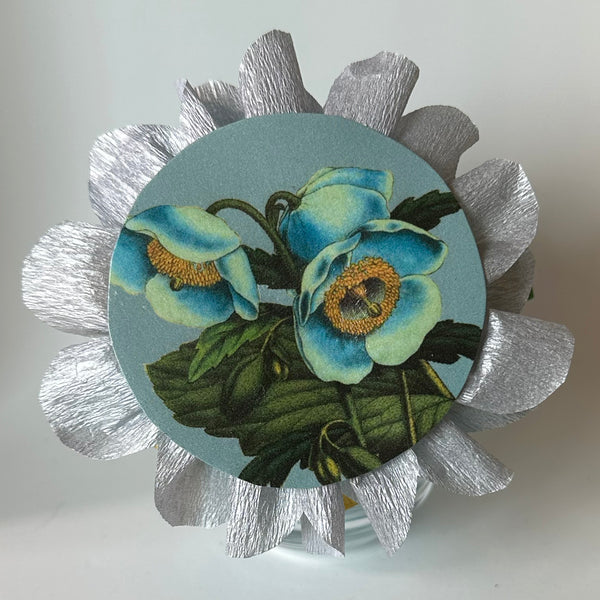Blue Poppy Plant Deluxe Surprise Ball - Special Edition