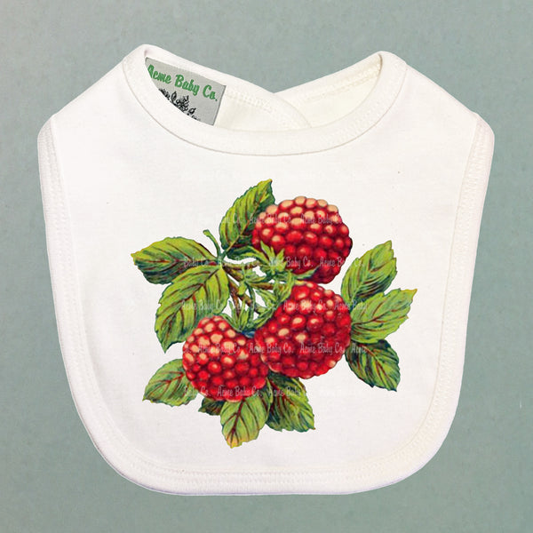 Fresh Raspberries Organic Baby Bib