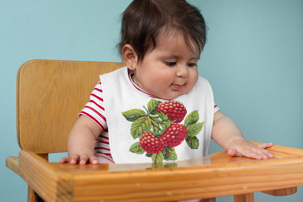 Fresh Raspberries Organic Baby Bib