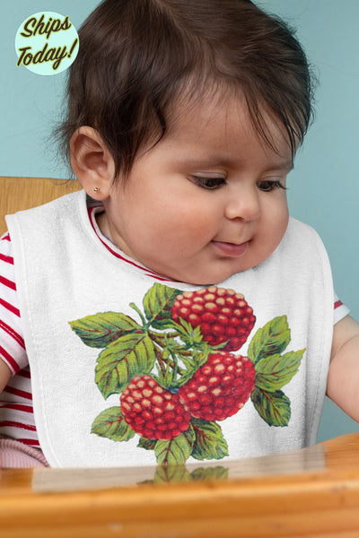 Fresh Raspberries Organic Baby Bib