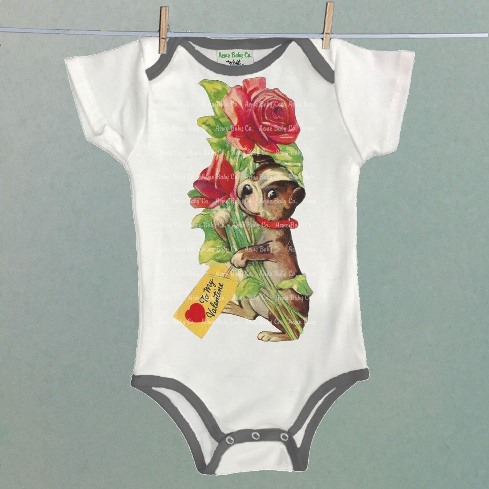 Boston Terrier Roses One Piece Bodysuit with Color Trim