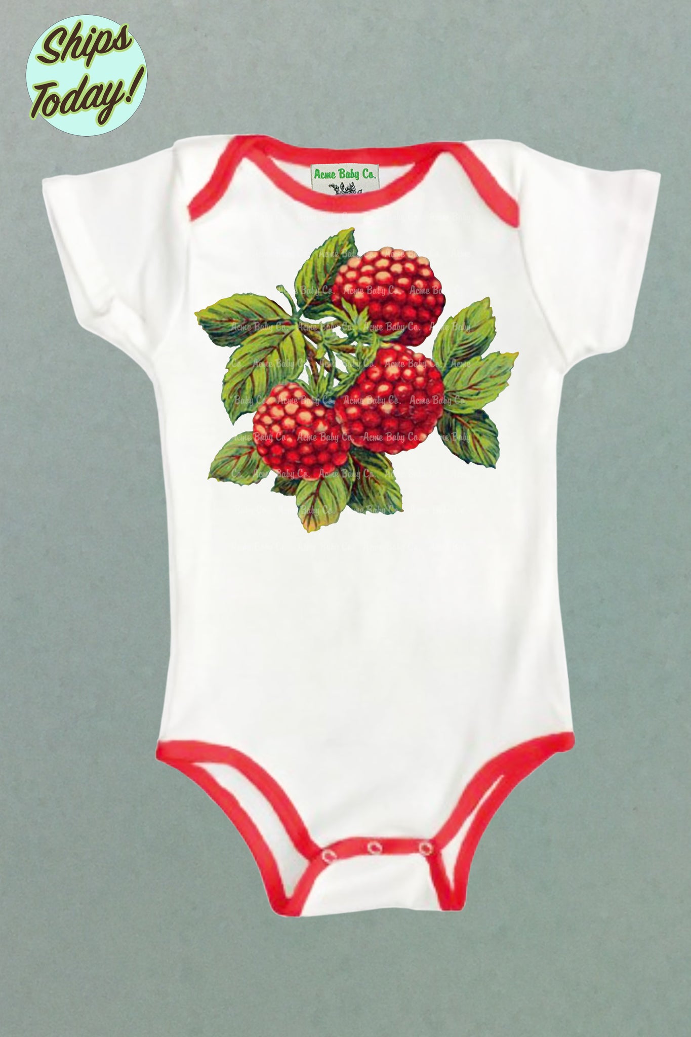 Raspberries One Piece Bodysuit with Color Trim