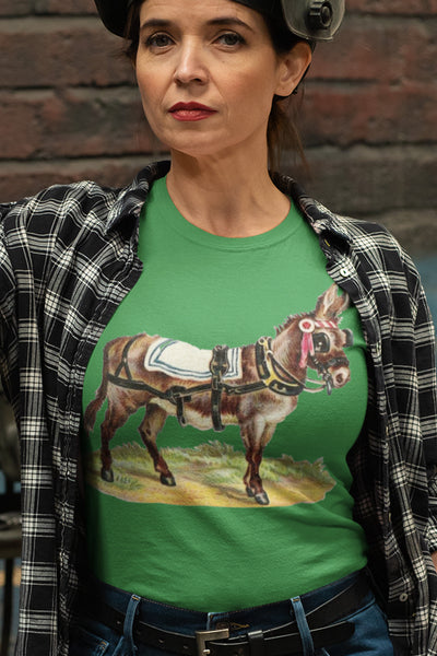 Donkey in Regalia Unisex t-shirt