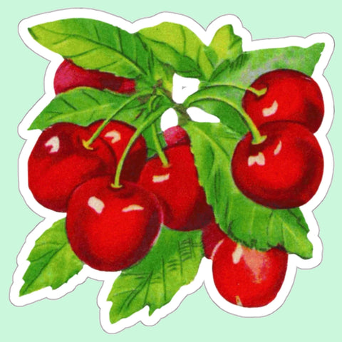 Bunch of Cherries Die-Cut Sticker
